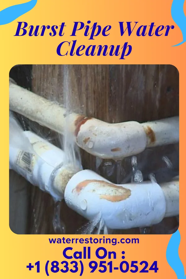Burst Pipe Water Cleanup in Wickliffe, OK